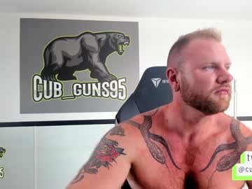 cub_guns95
